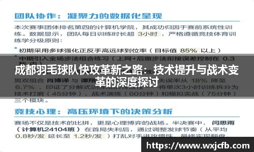 成都羽毛球队快攻革新之路：技术提升与战术变革的深度探讨