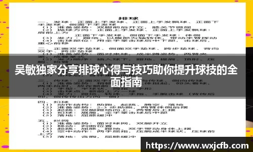 吴敏独家分享排球心得与技巧助你提升球技的全面指南
